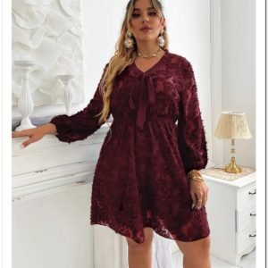 Vestido con cordón delantero de manga farol de peluche